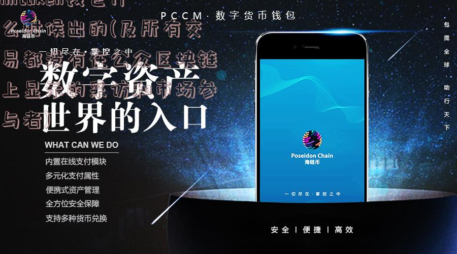 imtoken钱包什么时候出的(及所有交易都没有在公众区块链上显示的采访和市场参与者)