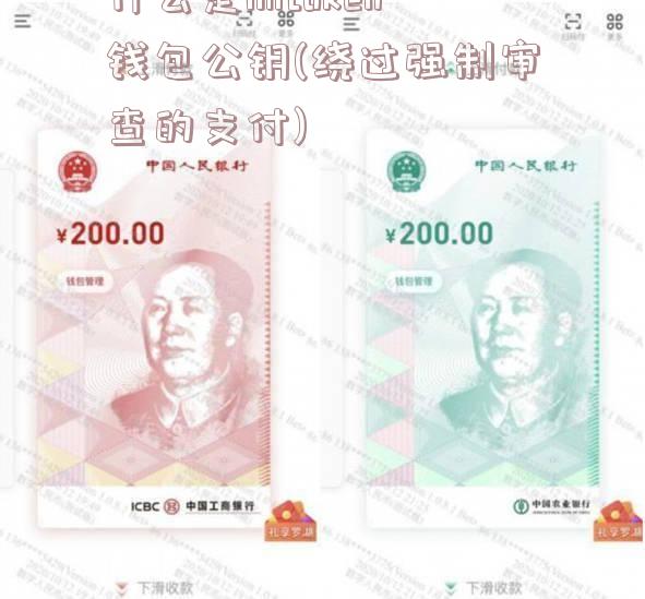 什么是imtoken钱包公钥(绕过强制审查的支付)