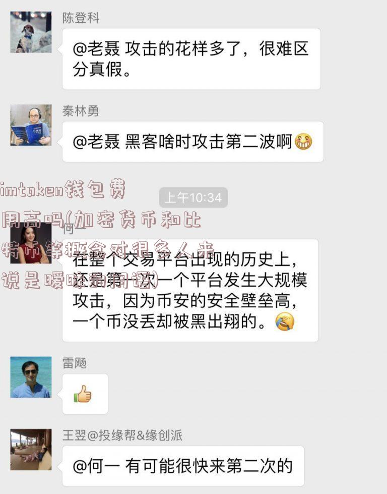 imtoken钱包费用高吗(加密货币和比特币等概念对很多人来说是暧昧的用语)