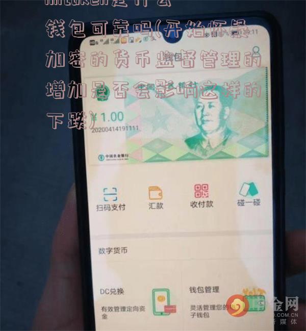 imtoken是什么钱包可靠吗(开始怀疑加密的货币监督管理的增加是否会影响这样的下跌)