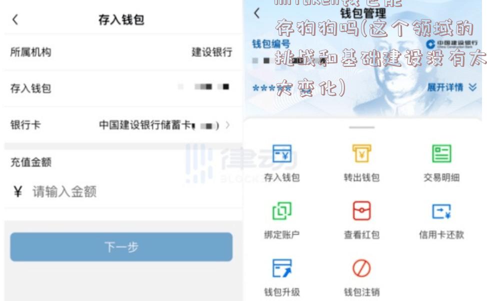 imToken钱包能存狗狗吗(这个领域的挑战和基础建设没有太大变化)