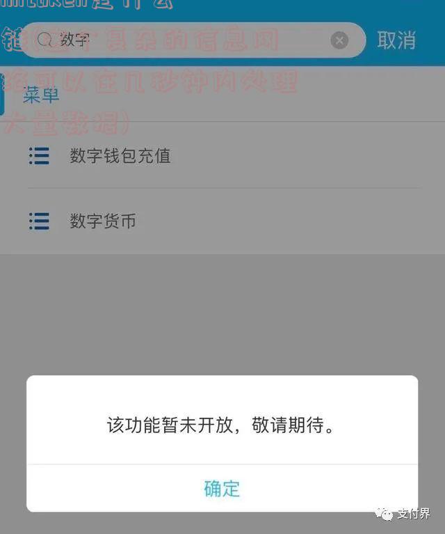 imtoken是什么链(这个复杂的信息网络可以在几秒钟内处理大量数据)