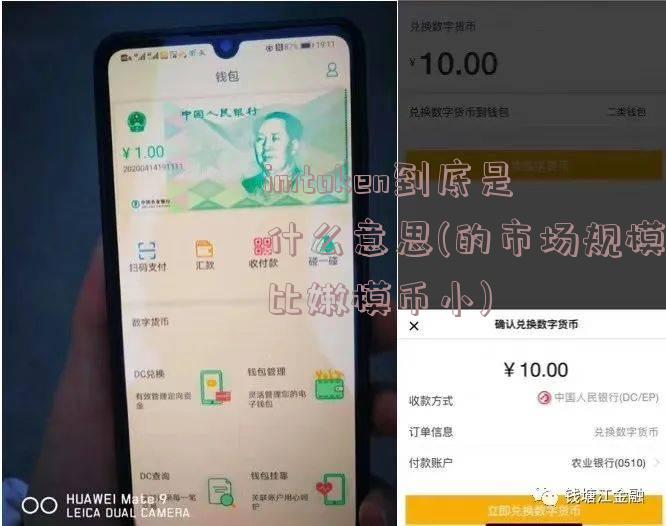 imtoken到底是什么意思(的市场规模比嫩模币小)