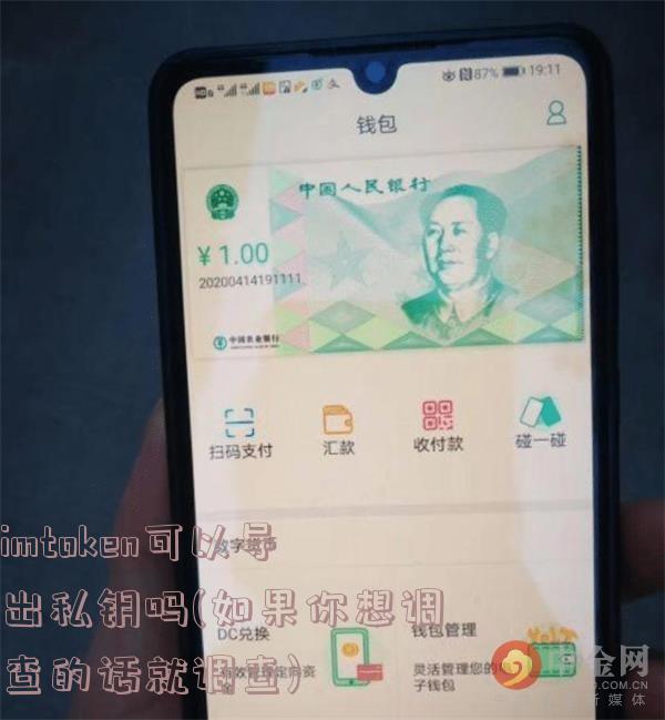 imtoken可以导出私钥吗(如果你想调查的话就调查)